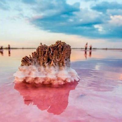 放开那校花国际版游戏下载